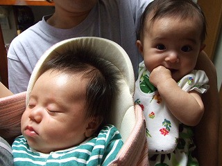 大和君（左）と我が娘